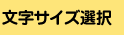 �����T�C�Y�I��