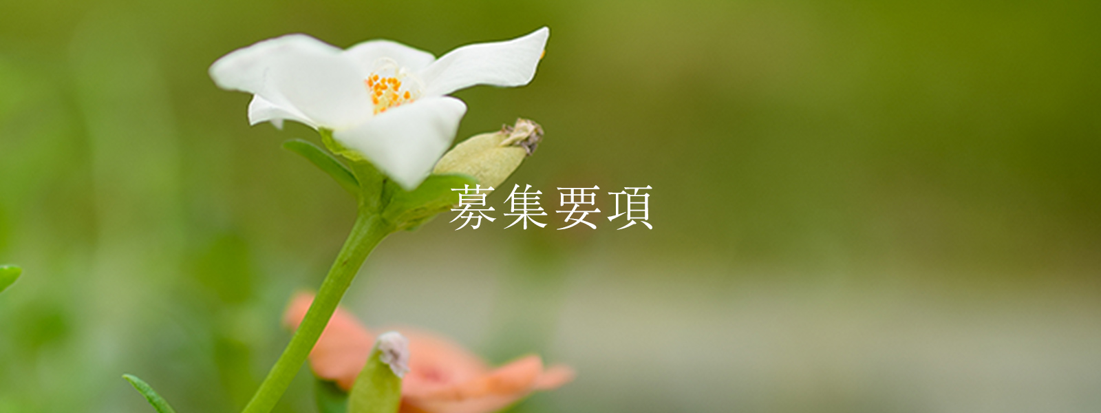 豊資会　高校生採用サイトトップ