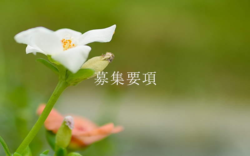 豊資会　高校生採用サイトトップ
