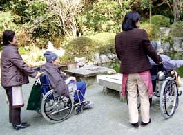 お散歩写真