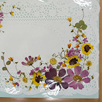 押し花作品