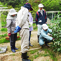 野菜作り教室の写真